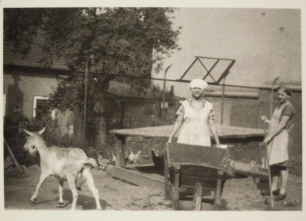 Zwei Mädchen bei der Arbeit im Tiergehege mit Ziege und Hühnern