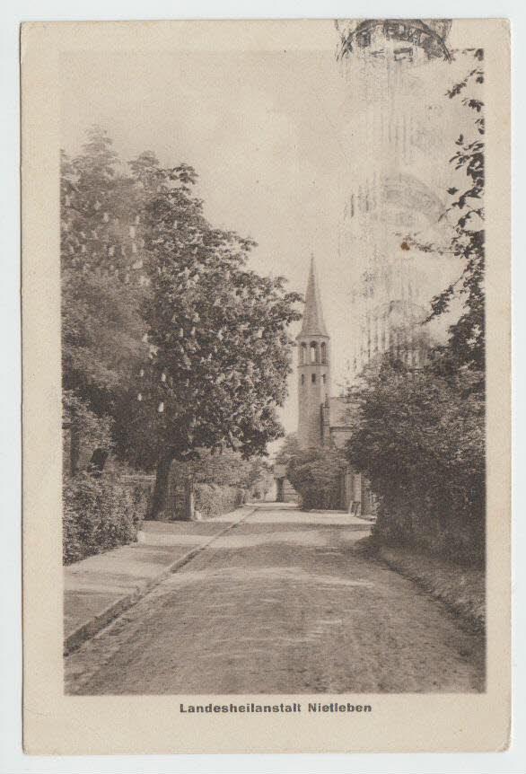 Blick durch eine baumbestandene Straße auf den Turm einer Kirche